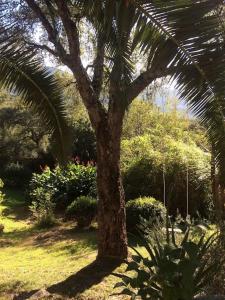 Casa de Patarra gîte dans le maquis avec piscine privée