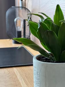 Modernes, mediales Apartment, Nähe der Neuen Leipziger Messe, bis vier Personen