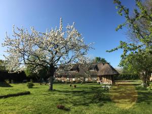 B&B / Chambres d'hotes La Romance et la Romanesque : photos des chambres