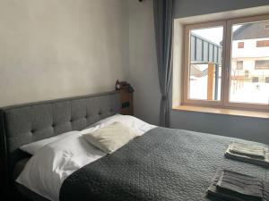 Hiša Pod gorami II****-house with wellness