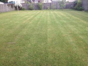 Honeysuckle-Peaceful Scottish Cottage with Hot Tub
