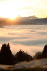 Apartement Lake View