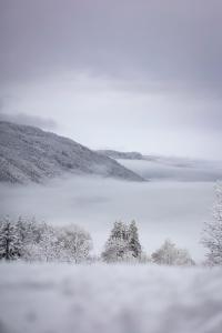 Apartement Lake View