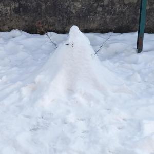 Appartements Cocooning chez Corinne , Gerardmer : photos des chambres