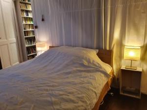 Maisons de vacances A Room with a View - Maisonnette dans bourg medieval au bord du Lac Leman : photos des chambres