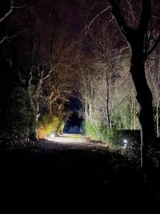 Maisons de vacances SCI Domaine Saint Martin le grand : photos des chambres