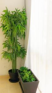 Apartamento centro playa estación de tren