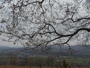 Appartements Gite des 3 arbres : photos des chambres