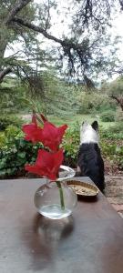Faraways Bed & Breakfast