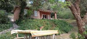 Faraways Bed & Breakfast