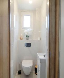 Appartement centre-ville