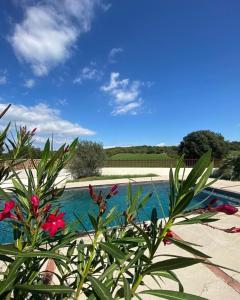 Villa Masada location saisonnière Ardèche-Provençale