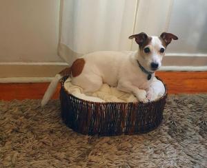 Parque das Nações Room