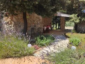 Holiday home Sea La Vie - Spanidiga