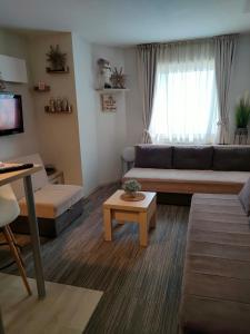 Tim 135 Konaci-Angella Centar