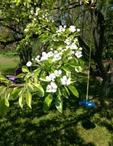 Family friendly cottage ☆walking distance to beach