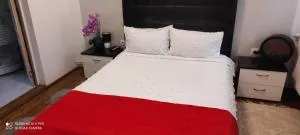 Pensiunea Izabel - 红湖