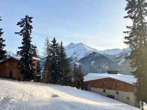 Appartements charmant studio a la Rosiere : photos des chambres