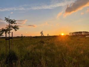 De Weitens Valkenswaard