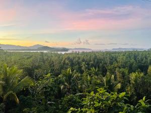 Jungle bar Resto & Cottages