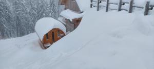 Chalet Die Berghexn