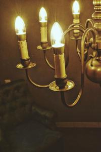 Appartements Gite Le Dandelion - Confort & Charme au coeur de Bergheim : photos des chambres