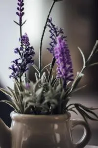 Casa Lavenda - Yavrovo