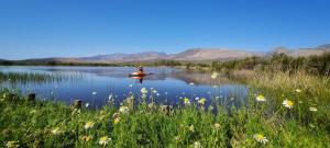 Whipstock Guest Farm