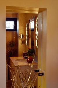 Villa Castelul Maria