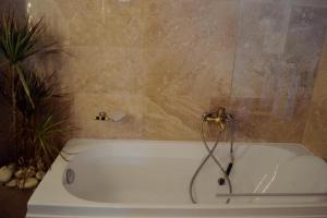 Villa Castelul Maria