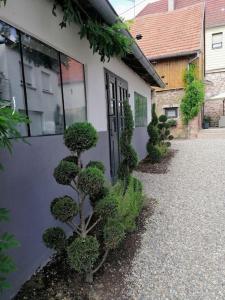 Maisons de vacances Du cote de chez Pam : photos des chambres