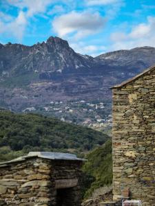 Maisons de vacances Tres jolie maison aux portes du Cap Corse : photos des chambres