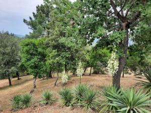 Villa Tutti i colori del Chianti