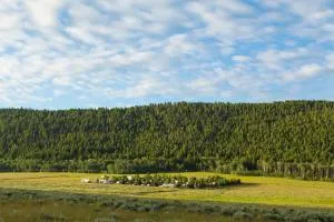 Red Rock RV Park - Cliff Lake