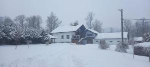 Vila Bělá pod Pradědem