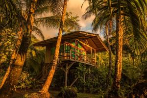 Ocean Forest Ecolodge