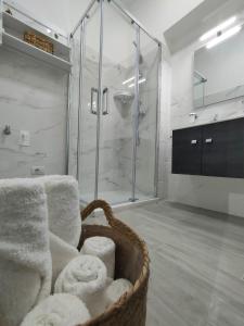 Appartamento con 1 Camera da Letto