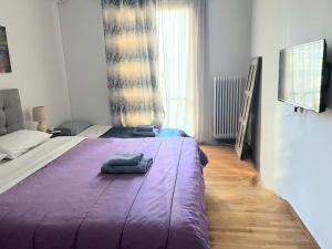 Eχquisite apt in Acropolis-plakavaccinatedHost