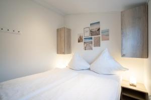 Ostseecamp Lübecker Bucht Seeigel