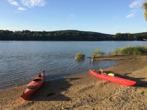 Cinke cottage, nest in nature