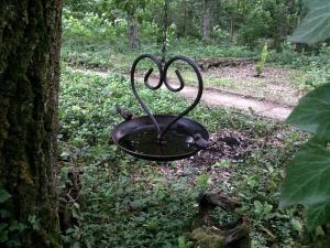 Cinke cottage, nest in nature