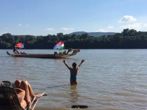 Cinke cottage, nest in nature