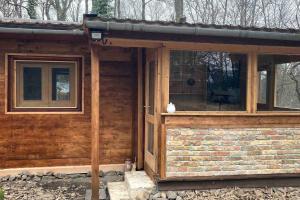 Cinke cottage, nest in nature