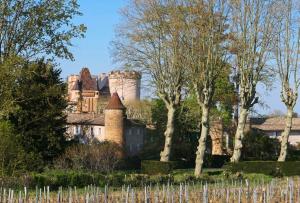 Maisons de vacances La Tour du Chateau de Chaintre : photos des chambres