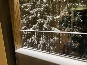 Bakuriani Kokhta Mitarbi Resort