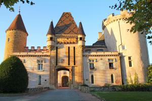 Maisons de vacances La Tour du Chateau de Chaintre : photos des chambres