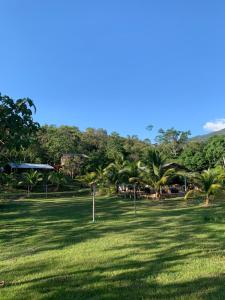 CHOCLINO ECOLODGE -Bungalows con Piscina privada, Mirador y Tours en la selva