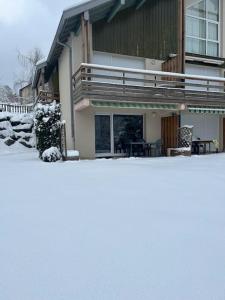 Gérardmer Appt 46 rez de jardin