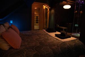 B&B / Chambres d'hotes PAUSE NATURE SORBAIS Chambre avec SPA, SAUNA, HAMMAM SHOWER, STREAMING et arrivee autonome : photos des chambres