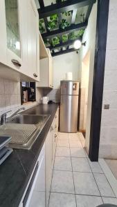 Apartment Navita